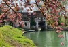 Stage de Technique Vocale au Moulin D'Andé - 