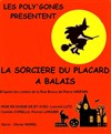 La sorcière du placard à balais - 