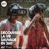 Wild Immersion : Une expérience éducative et immersive unique pour se connecter aux animaux en 360° - 