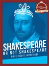 Shakespeare or not Shakespeare - 