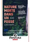 Nature morte dans un fossé - 