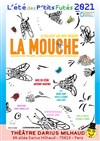 La mouche - 