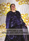 Décrocher la lune, Voyage Trans Europe Express - 