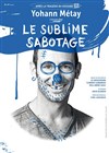 Yohann Métay dans Le sublime Sabotage - 