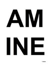 Amine Amin Imean - 