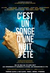 C'est un songe d'une nuit d'été - 