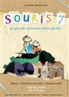 Souris 7 - 