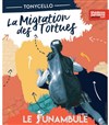 Tonycello dans La migration des tortues - 