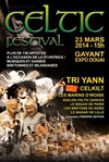 Celtic Festival | 2ème édition - 