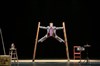 Circus Incognitus - 