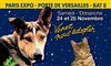 Noël des animaux -Fondation Assistance aux Animaux - 