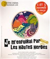 Je m'enfuirai par les hautes herbes - 