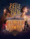 La Belle et La Bête, le spectacle - 