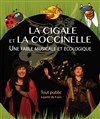 La cigale et la coccinelle - 