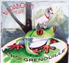 Le roi grenouille - 