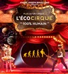 L'Ecocirque 100% humain | à Lyon - 