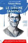 Yohann Métay dans Le sublime sabotage - 