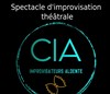 Spectacle d'improvisation théâtrale - 