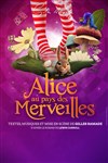 Alice aux pays des Merveilles - 