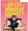 Qui est Monsieur Schmitt ? - 