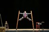 Circus incognitus - 