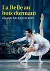 La Belle au Bois Dormant | par le Grand Ballet de Kiev - 