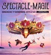 Spectacle de magie - 