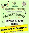 Gospel Fever - 