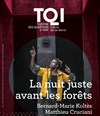 La nuit juste avant les forêts - 