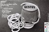 Gestus - 