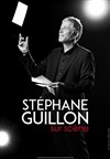 Stéphane Guillon sur scène - 