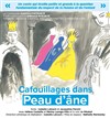 Cafouillages dans Peau d'âne - 