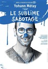 Yohann Metay dans Le sublime sabotage - 