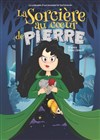 La sorcière au coeur de pierre - 