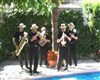 Les Z'Haricots Blues - 