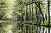 Visite guidée : Pierre Paul Riquet et le Canal du Midi - 