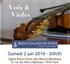 Voix et Violes - 