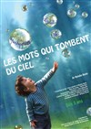 Les mots qui tombent du ciel - 