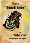 Rémi Guyon dans Drôle de Zèbre - 