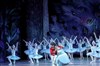 Casse-Noisette - Ballet de l'Opéra National de Kiev - 