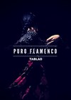 Puro flamenco tablao - 