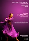 Stage initiation au flamenco - 