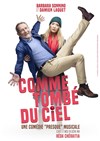 Comme tombé du ciel - 