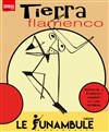 Tierra Flamenco - 