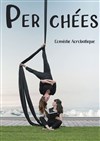 Perchées - 