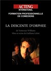 La descente d'Orphée - 