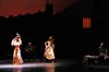 Carmen Flamenco - 