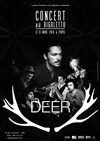 Deer - 