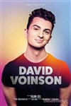 David Voinson - 