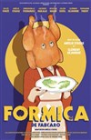 Formica - 